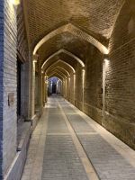 مژگان روانشید