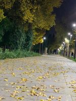 مژگان روانشید