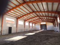 نمایندگی انحصاری وین تک