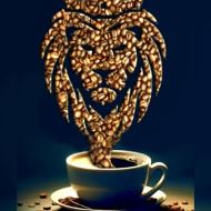 فروش قهوه عمده تهران