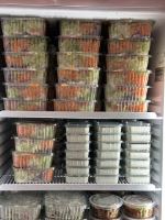 انواع سالاد