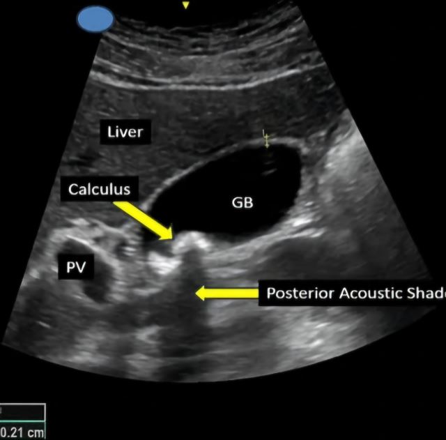 بهترین متخصص سونوگرافی خانم در اهواز 