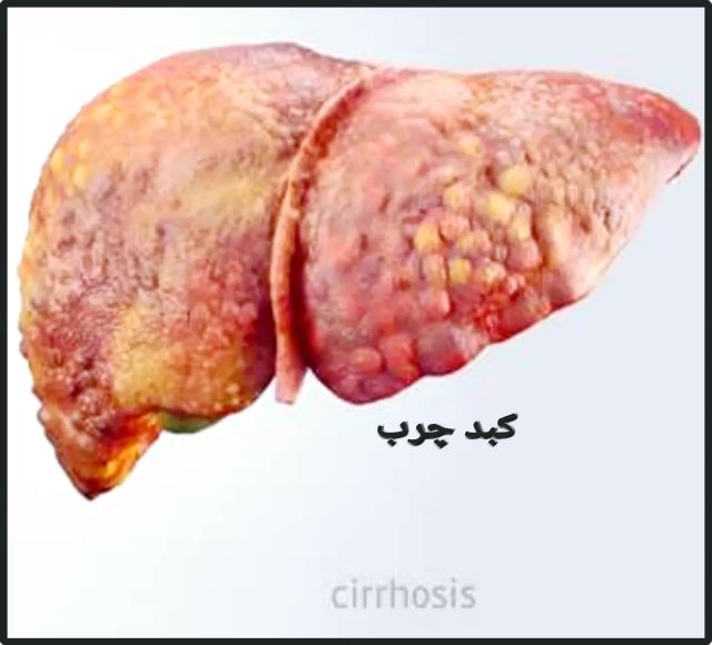 بهترین متخصص سونوگرافی خانم در اهواز 