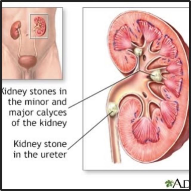 بهترین متخصص سونوگرافی خانم در اهواز 