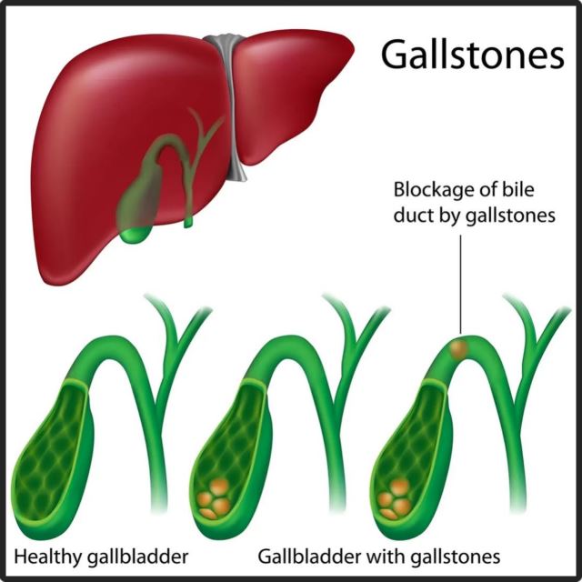بهترین متخصص سونوگرافی خانم در اهواز 