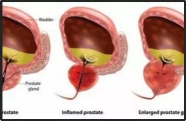 بهترین متخصص سونوگرافی خانم در اهواز 