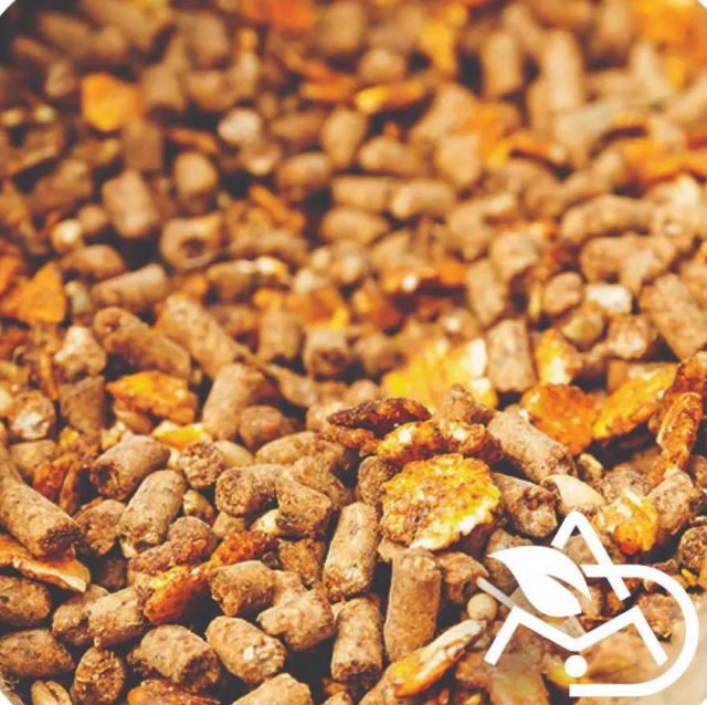 خرید کنسانتره استارتر گوساله 