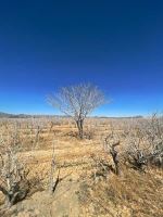 مهندس اصغر مرادی