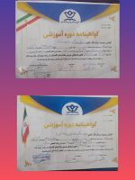 ارغوان هاشمی