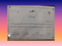 ارغوان هاشمی