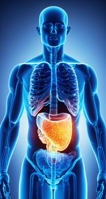 کلینیک رها در یزد