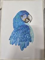 آموزش نقاشی در اصفهان