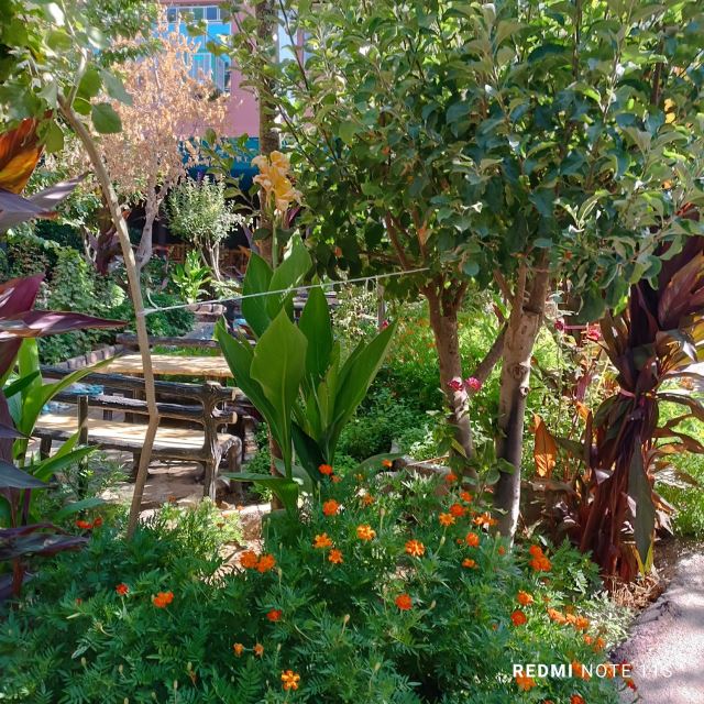 اقامتگاه بومگردی در یاسوج 