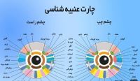 تشخیص افتراقی زبان
