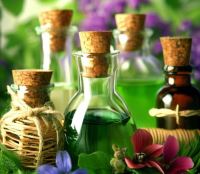 گیاهان دارویی کربلایی