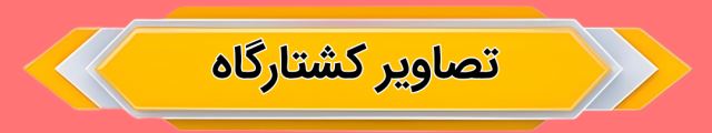 کشتارگاه صنعتی زرقان 