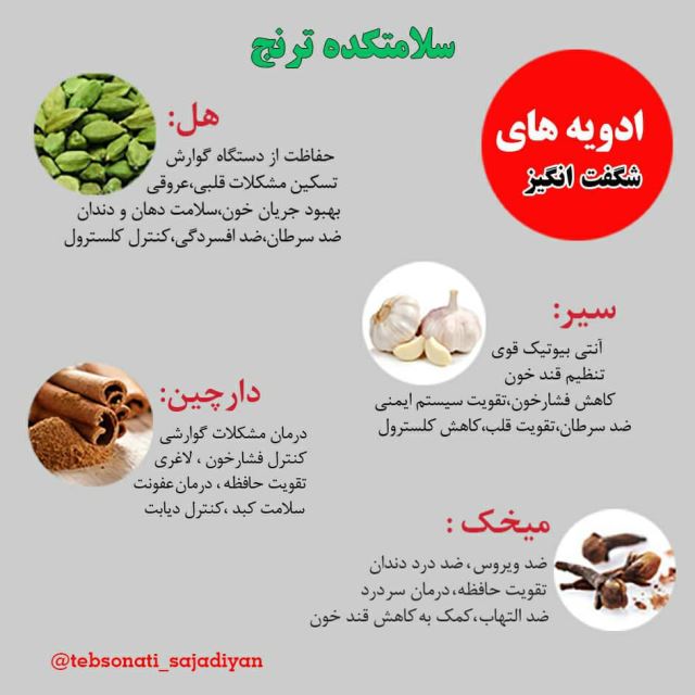 سلامتکده ترنج
