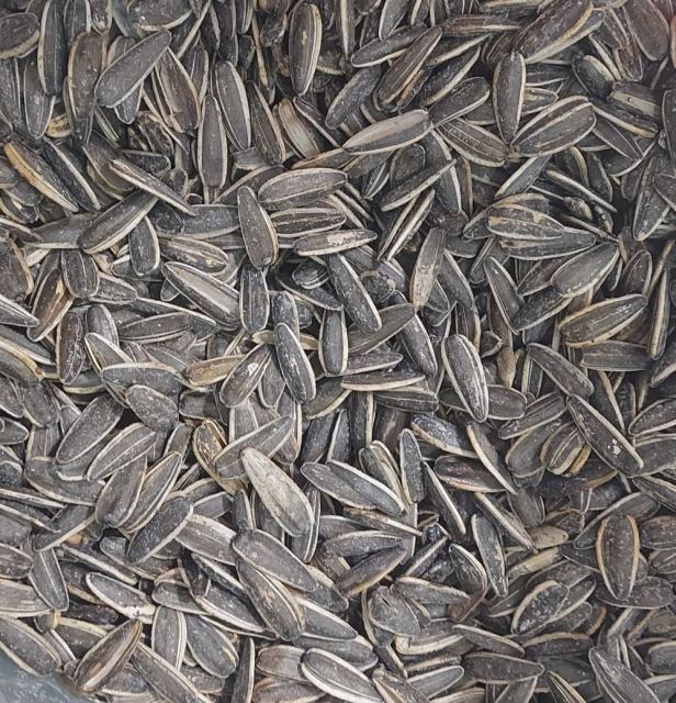 خشکبار رضایی در شهریار