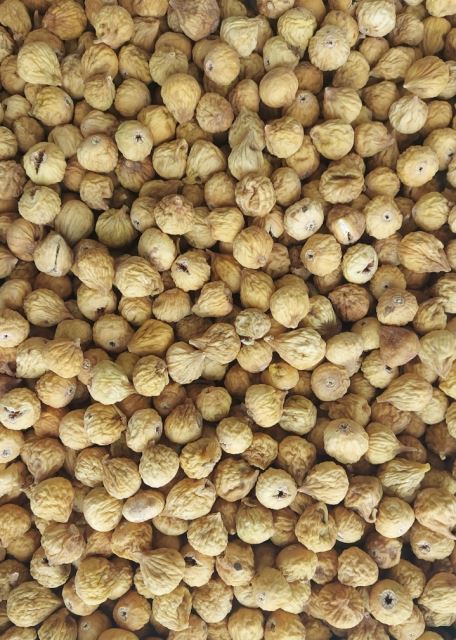 خشکبار رضایی در شهریار