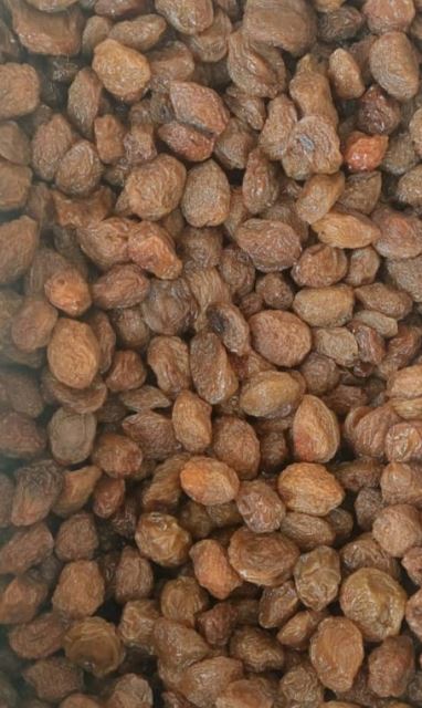 خشکبار رضایی در شهریار