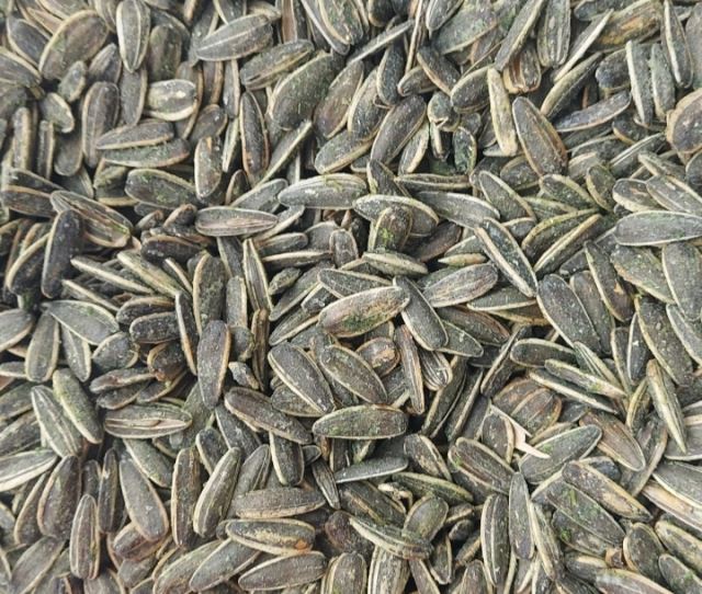 خشکبار رضایی در شهریار