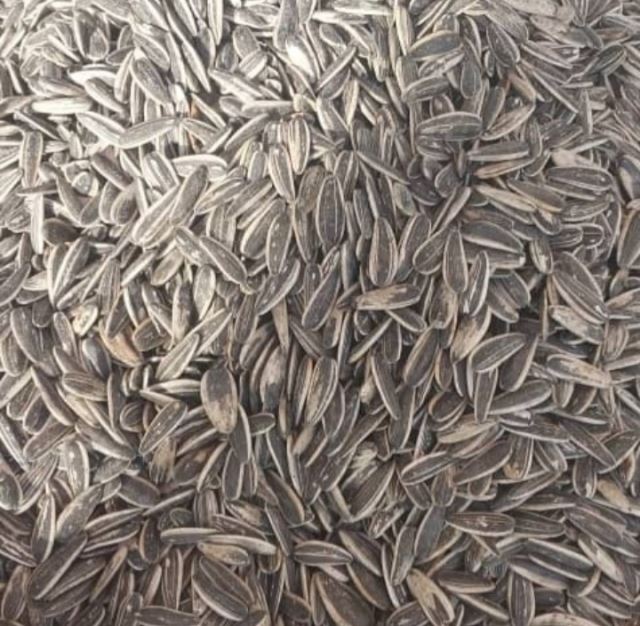 خشکبار رضایی در شهریار