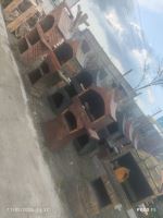 نقاشى ساختمان در قائم شهر