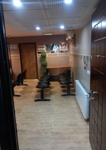 درای نیدنیگ