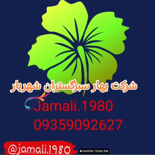 محوطه سازی ویلا در کرج 