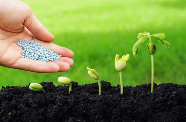 کود ارگانیک در مازندران