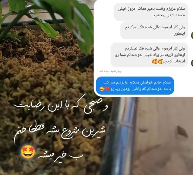 بهترین سالن آرایشی در گلوگاه 