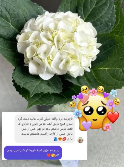 بهترین سالن آرایشی در گلوگاه 