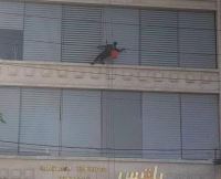 قیمت نماشویی ساختمان در مشهد