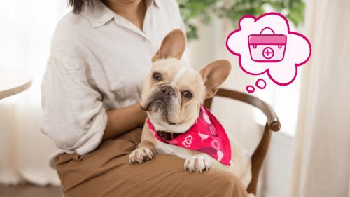 دامپزشكى سيار در اصفهان