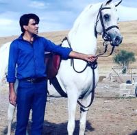 باشگاه اسب سفید در یزد