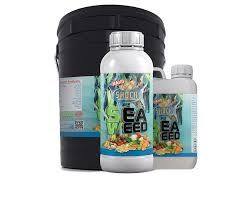 بهترین کلینیک گیاهپزشکی