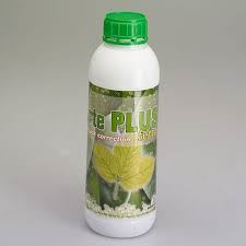 بهترین کلینیک گیاهپزشکی