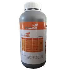 بهترین کلینیک گیاهپزشکی