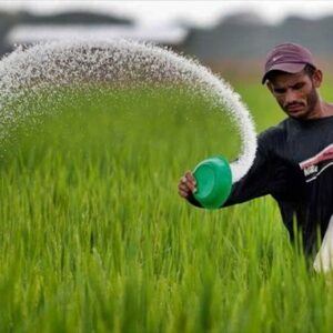 کلینیک گیاه پزشکی بهین رویش