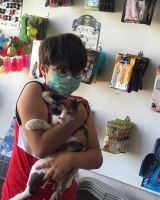 کلینیک تخصصی دامپزشکی دی