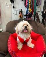 کلینیک تخصصی دامپزشکی دی