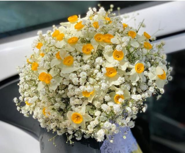تاج گل آنلاین 