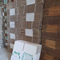 فرهاد نوری زاده