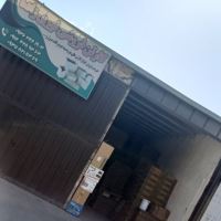 فرهاد نوری زاده