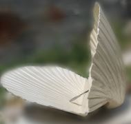 حرفه ای ترین مجسمه ساز