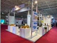 شرکت غرفه نما