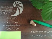 خرید سمعک در یزد