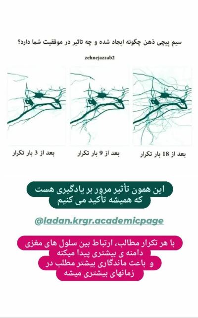 مشاور مراکز نگرش برتر و هشت بهشت