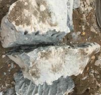 خرید کتراک در مشهد