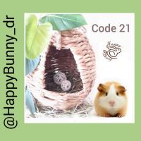 کد 21: لانه کوچک، ارتفاع: 35 سانت، قیمت: تماس